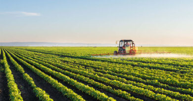 कृषि क्षेत्र में दुनिया मे सबसे तेज वृद्धि भारत मे दर्ज, किसानों की आय दुगुनी, विकसित भारत की नींव मजबूत