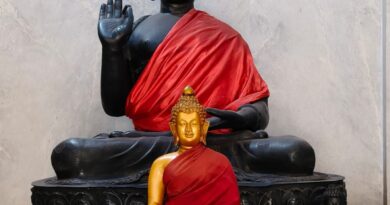 बुद्ध पूर्णिमा पर विशाल भंडारे का आयोजन, समाज को शांति और करुणा का संदेश वरिष्ठ पत्रकार, विजय शंकर चतुर्वेदी